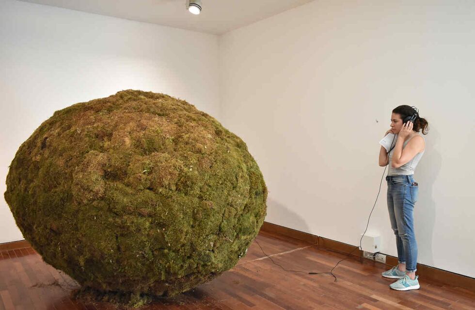 Qué hacer un domingo en Córdoba: museos, una opción gratuita e interactiva para toda la familia