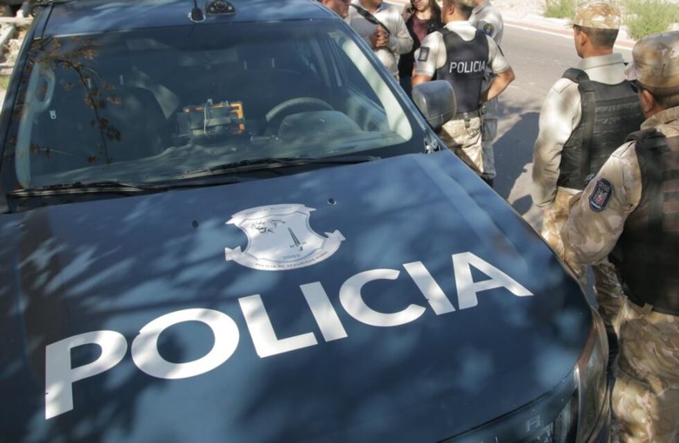 Tres detenidos por robo de ganado