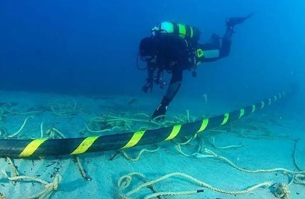 De Las Toninas a Estados Unidos: Google instalará el cable de internet más largo del mundo