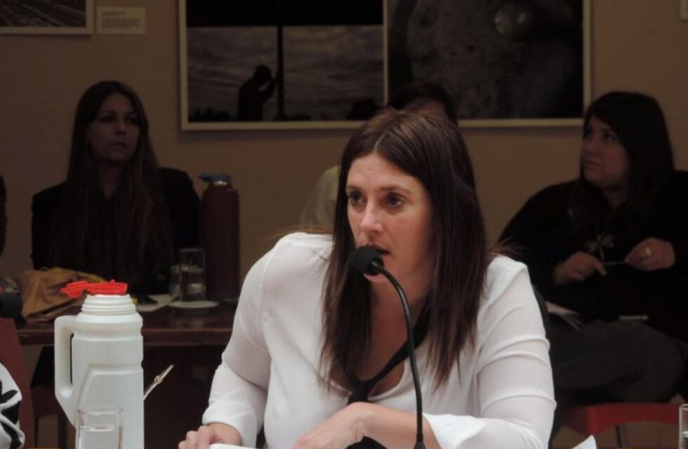 Viedma incorporaría un nuevo barrio