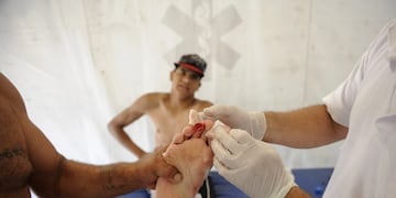 Aseguran que este verano no habrá ataques de palometas\u002E (Archivo)