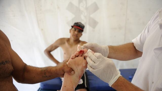 Aseguran que este verano no habrá ataques de palometas\u002E (Archivo)