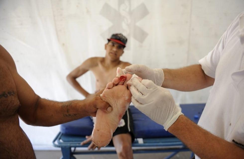 Crean una alerta temprana para anticipar posibles ataques de palometas