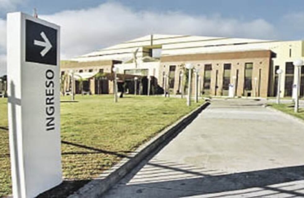 Una nena de ocho años está internada tras ser picada por un alacrán