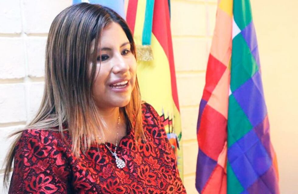 Desplazaron a la cónsul de Bolivia en Rosario tras expresar su respaldo a Evo Morales