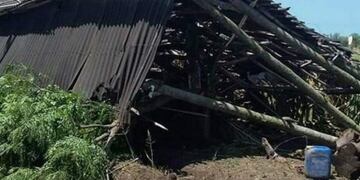 Los tabacaleros descartaron hacer un acopio hasta que revalúen los precios, pero piden una rápida solución\u002E