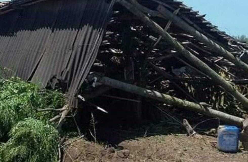 Tabacaleros piden que el Gobierno intervenga en la negociación ante las compradoras de tabaco