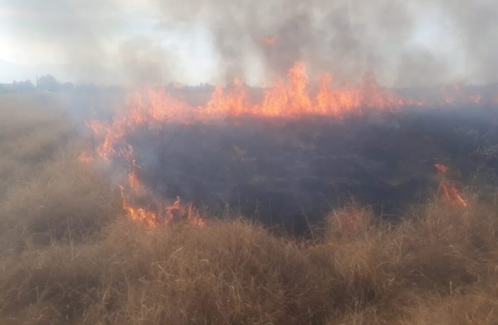 Famatina: extinguieron incendio que afectó mas de 30 hectáreas