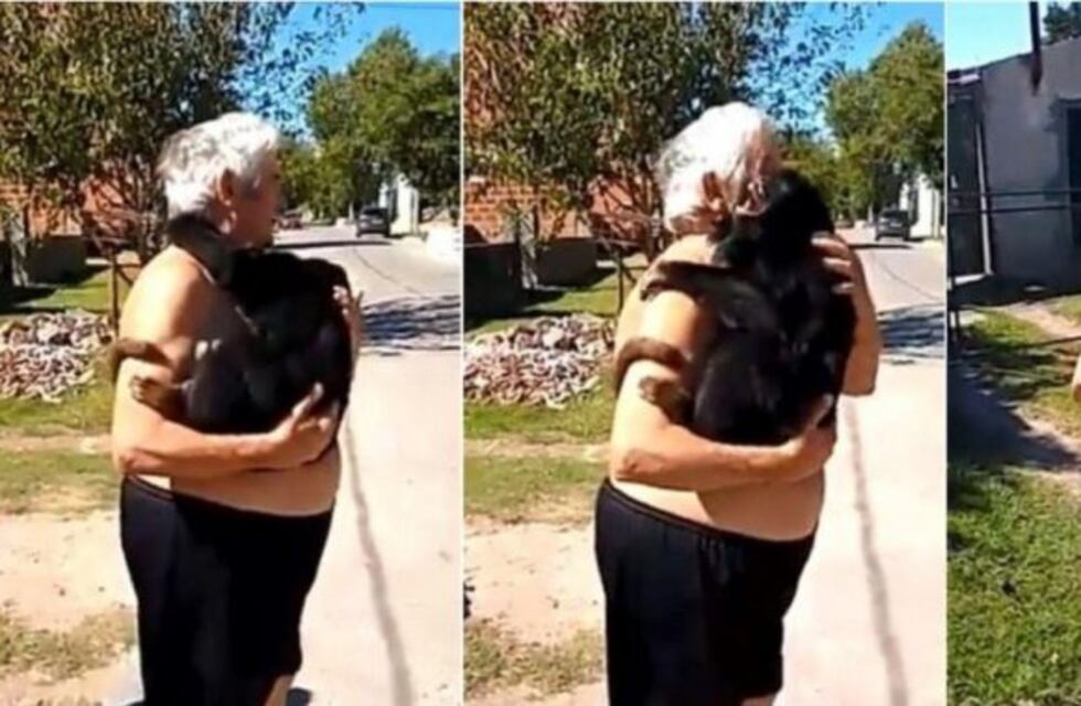 El mono de Ringuelet salió en televisión pero las autoridades no lo pueden atrapar