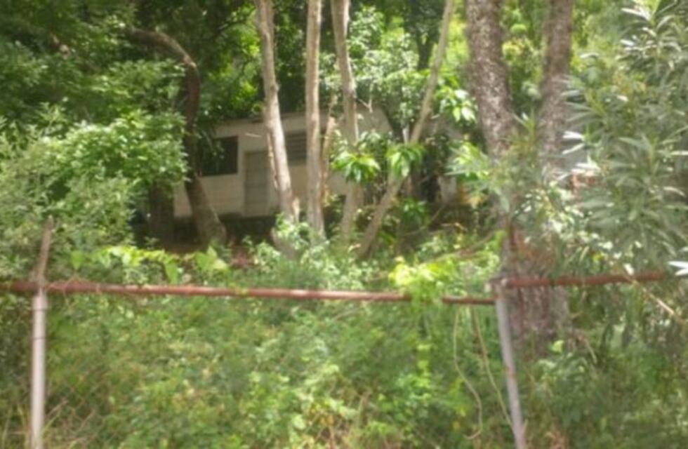 Mataron a una profesora argentina en la Universidad Central de Venezuela