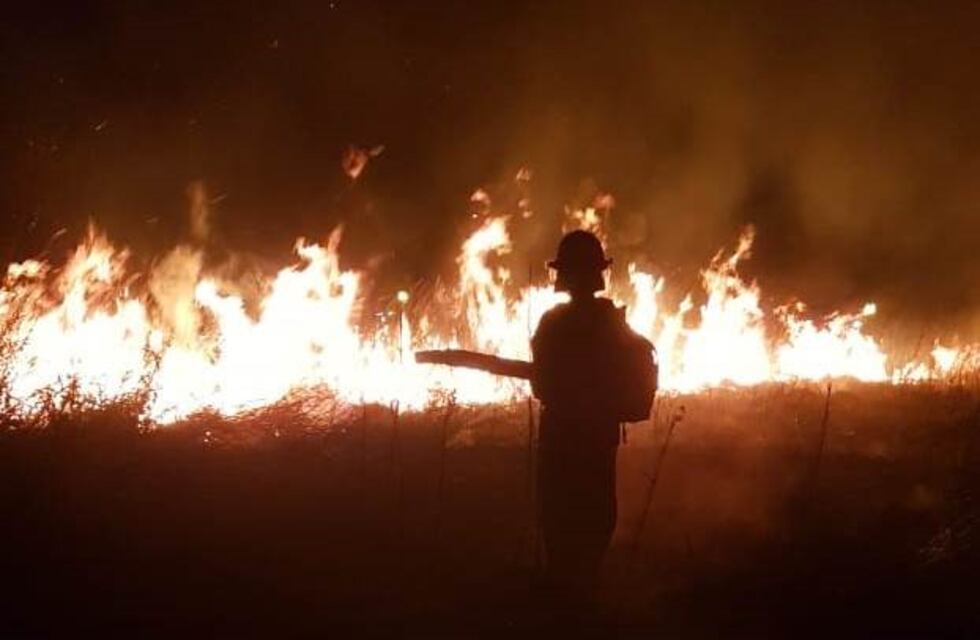Disminuyeron los incendios desde que comenzó el período de cuarentena