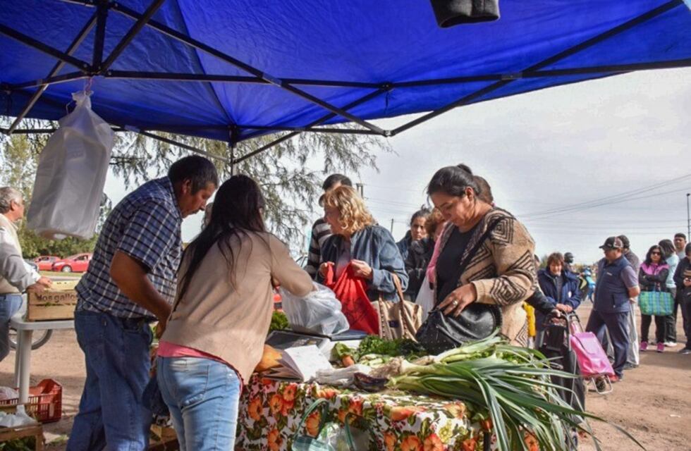 Este jueves "Sol Puntano" ofrece sus productos en su predio
