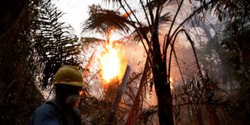 A man fights wildfires in Santa Monica near Concepcion, Bolivia, September 21, 2019\u002E REUTERS/David Mercado