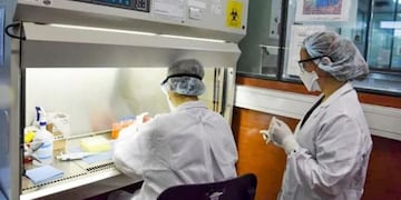 COVID-19: en Chaco se detectó tan solo 1 caso