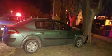 Un borracho chocó contra un árbol