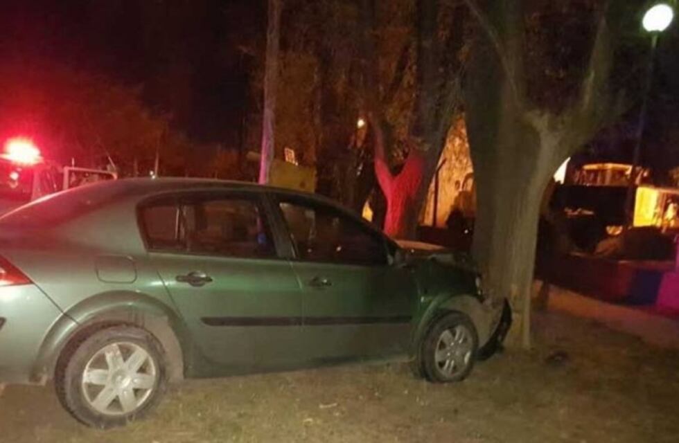 Un hombre chocó contra un árbol: estaba borracho