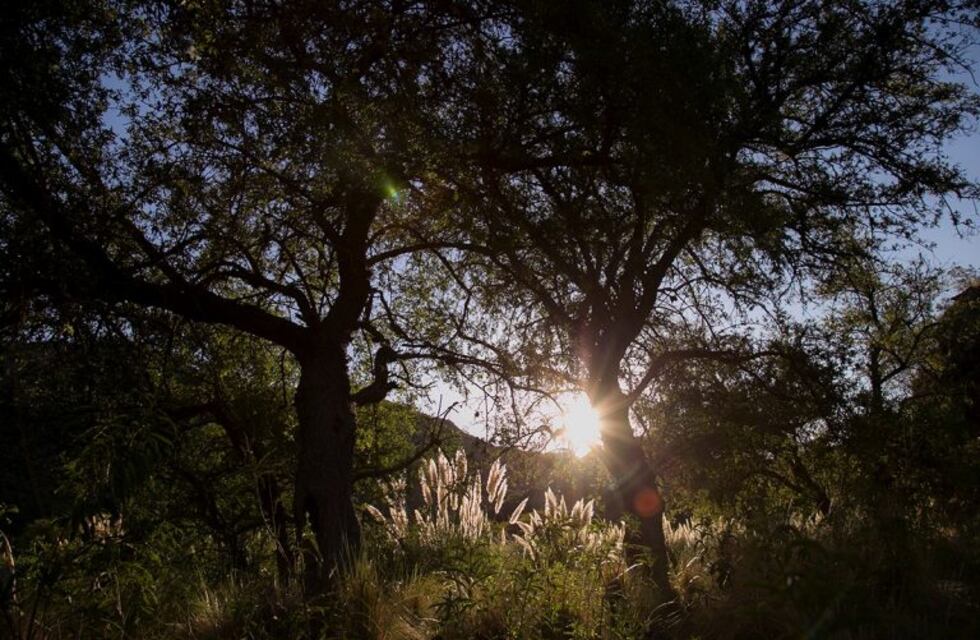 Martes y miércoles serán los días más calurosos de la semana