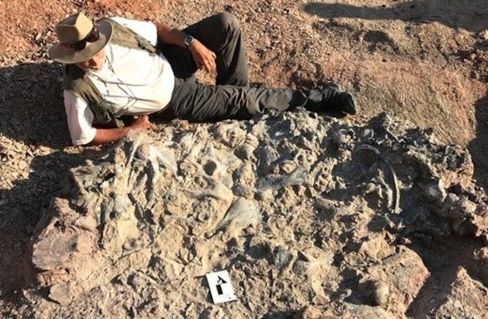 Ischigualasto: descubren un cementerio de animales de 220 millones de años