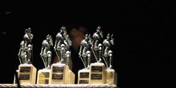 El jueves 5 de julio se entrega el Jerónimo de la gente\u002E