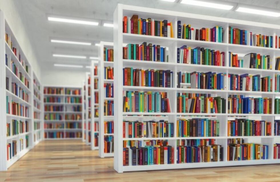 Bibliotecarios salteños se manifestaron para exigir el pago de fondos