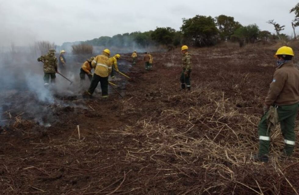 El Delta del Paraná quedó bajo guardia de cenizas sin focos de fuego activos