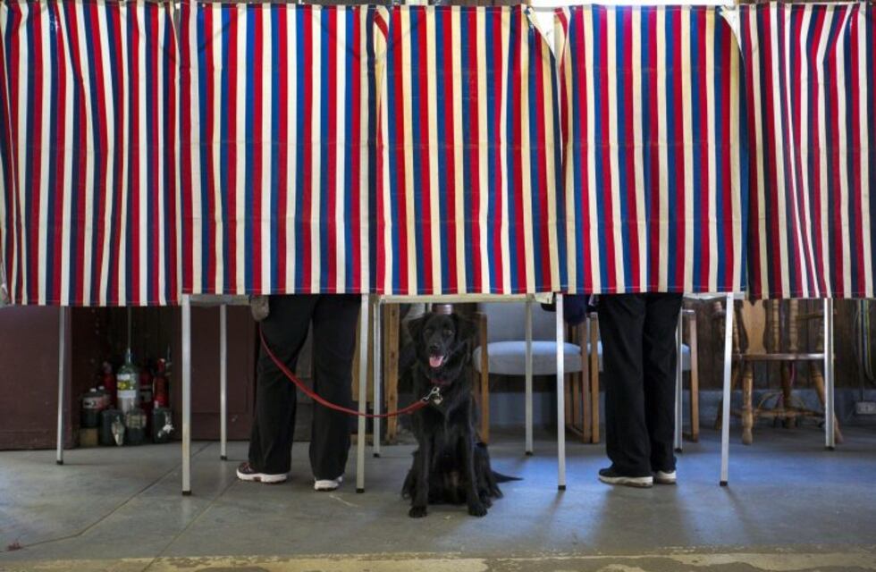 Las encuestadoras fueron las otras grandes derrotadas en las elecciones presidenciales de Estados Unidos