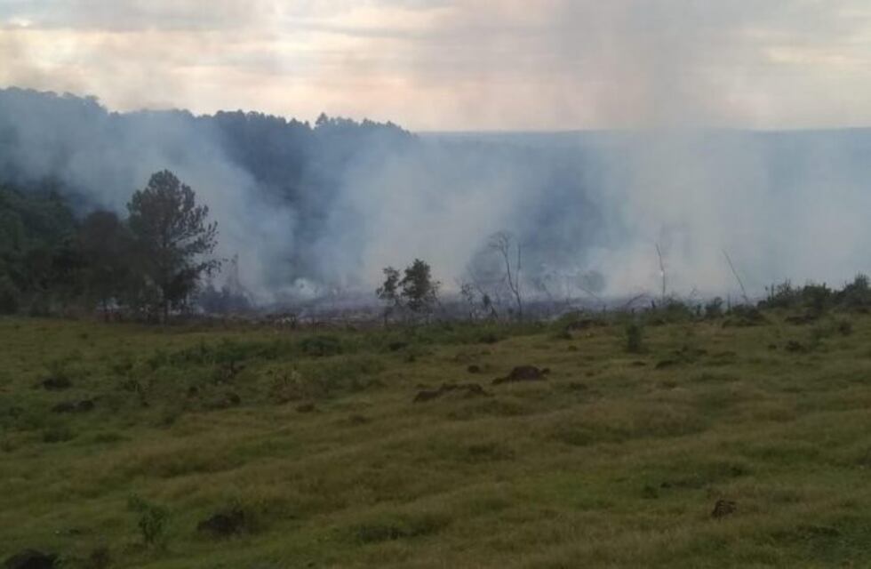 Se incendiaron 20 hectáreas de raleo de pino en Panambí