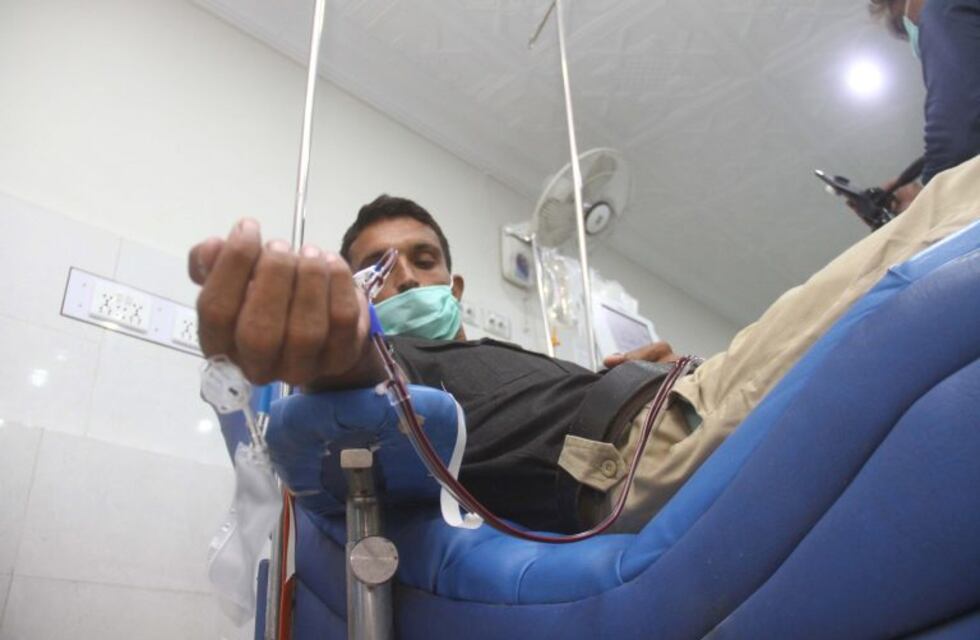 Coronavirus en Argentina: cómo funcionan los dos procesos que se aplican para donar plasma