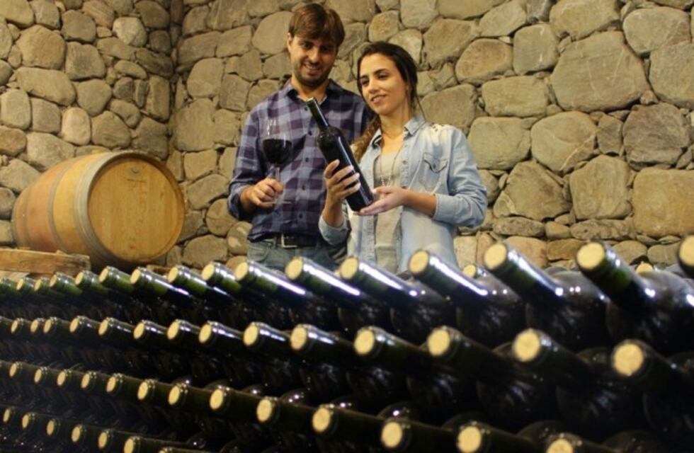 En los valles tucumanos podrás visitar la "Ruta del Vino"