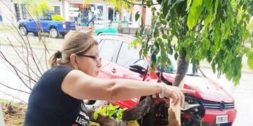 Un Volkswagen Suran impactó de frente contra un árbol\u002E