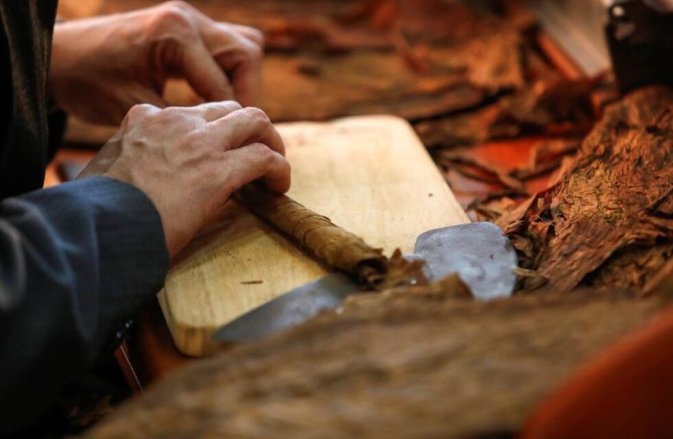 Aprendé a fabricar habanos en Guachipas este viernes