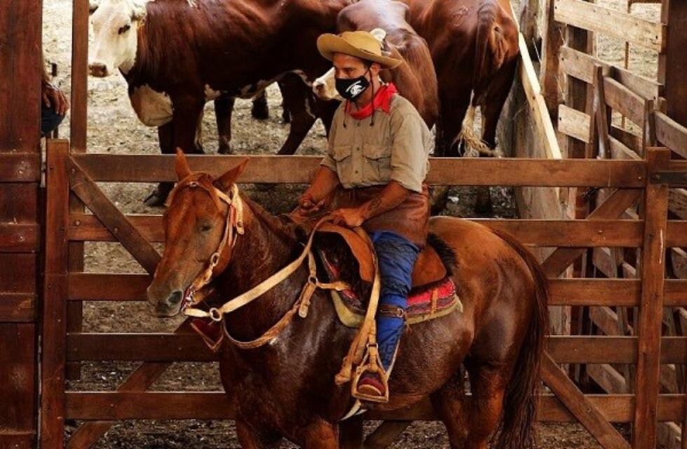 Montecarlo: récord de animales en venta y valores conseguidos en la 31° Fiesta Provincial del Ganadero