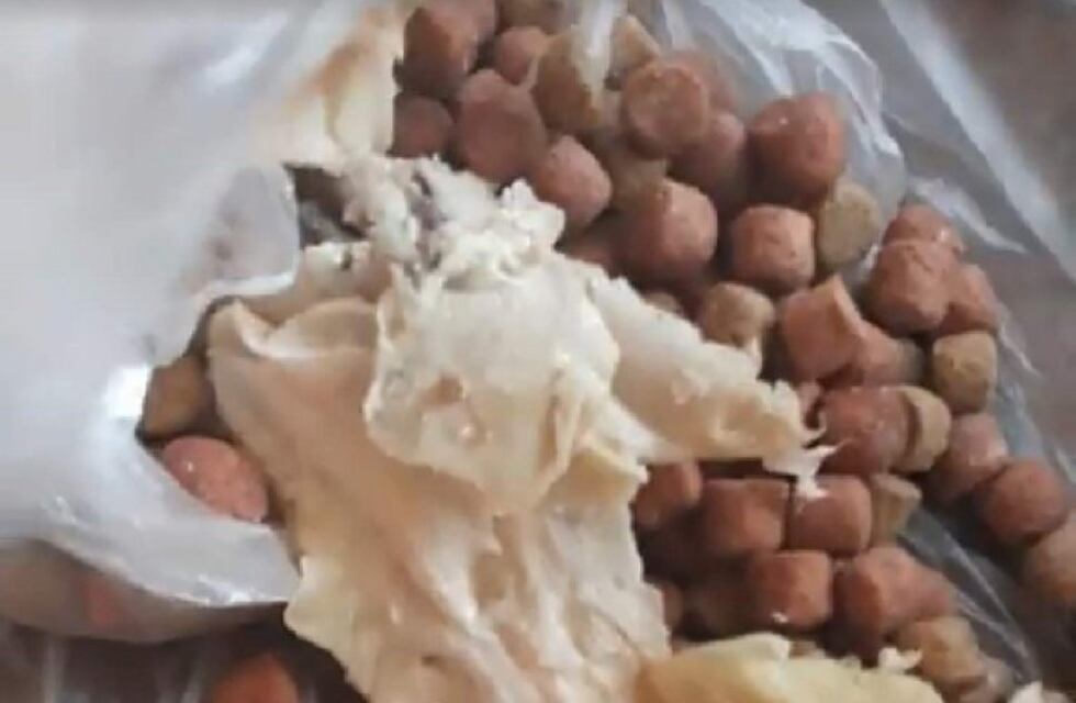 Una mujer denuncia en las redes que quisieron envenenar a su perro