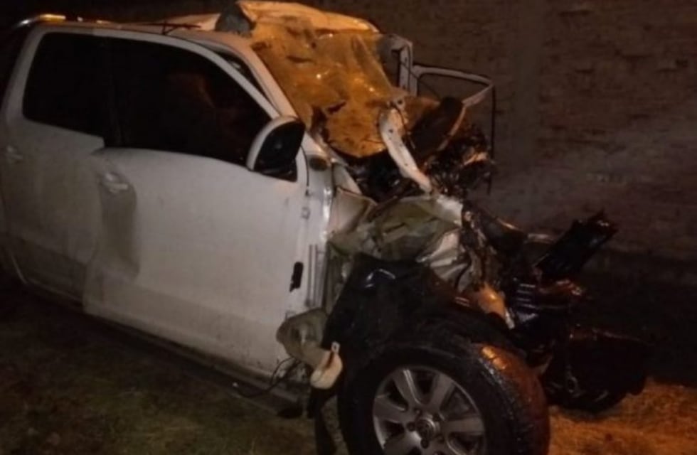 Murió tras chocar de frente con un camión camino a Chile