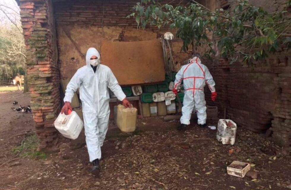 La Plata: psicosis en un pueblo por perros muertos y vecinos intoxicados