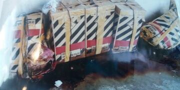 Denuncian matanza de perros en Zoonosis (Foto: Ahora Mar del Plata)