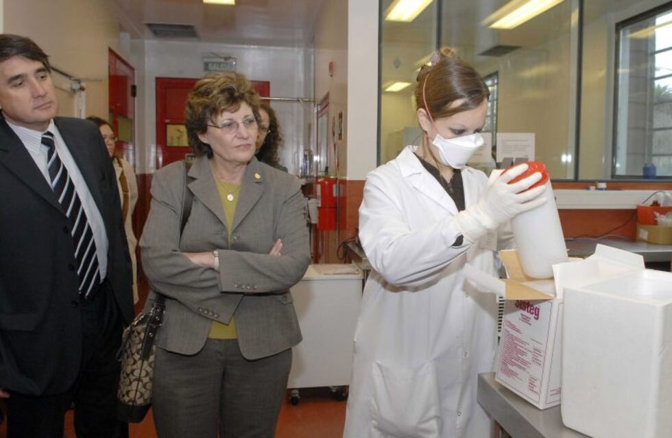 Santa Cruz: cazan viudas negras en yacimientos petroleros