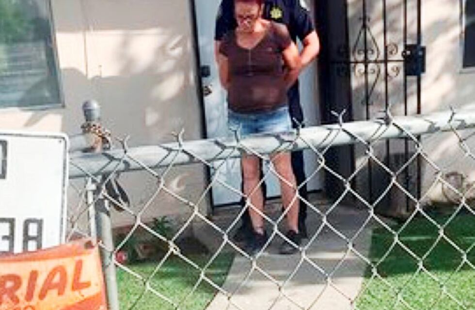 California: una mujer irá un año a la cárcel por tirar a la basura una bolsa con cachorros recién nacidos