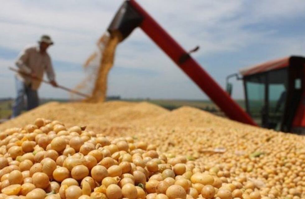 La Corte tratará denuncias de seis provincias por eliminación del Fondo Sojero