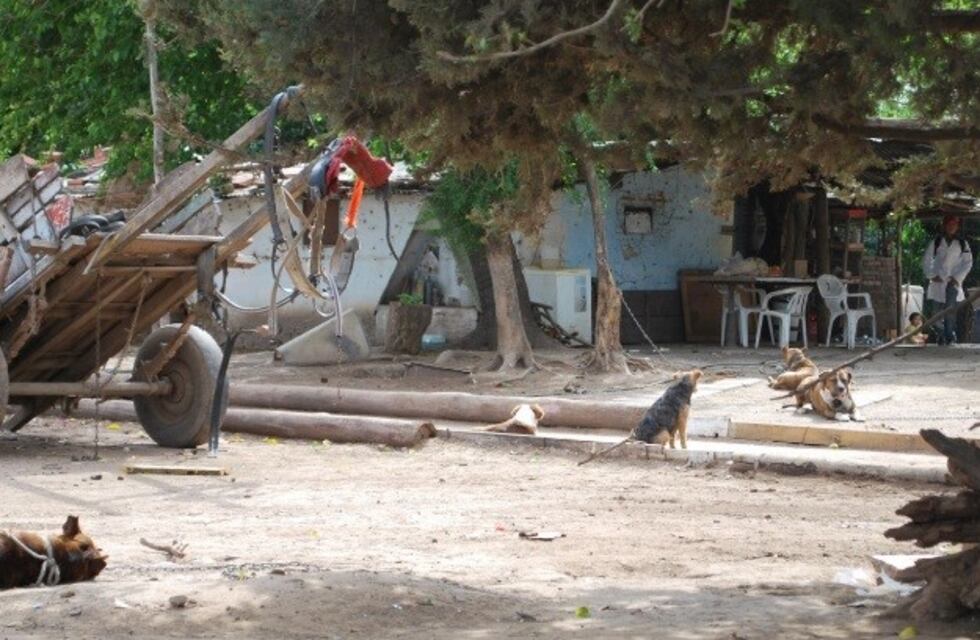 Mendoza es la quinta provincia con mayor cantidad de asentamientos