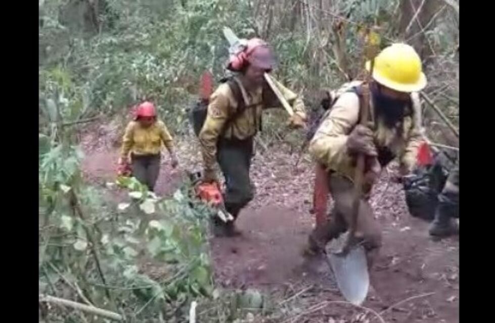 Fuego inclemente: más 18.000 hectáreas quemadas en las Yungas jujeñas