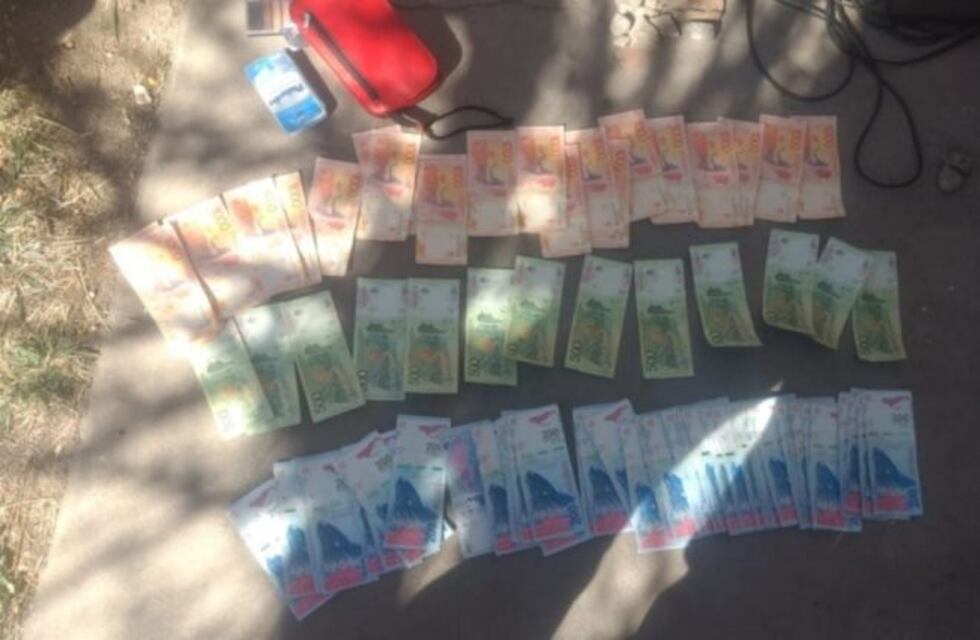 Una vecina de un barrio de la capital puntana recuperó lo que le robaron