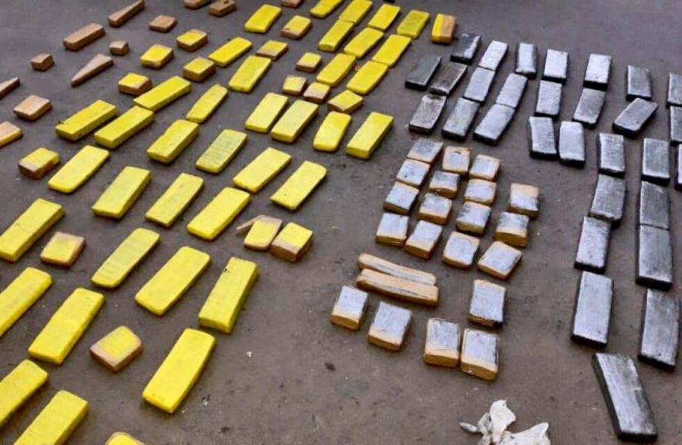 Dos detenidos con casi media tonelada de marihuana en la autopista Buenos Aires-La Plata