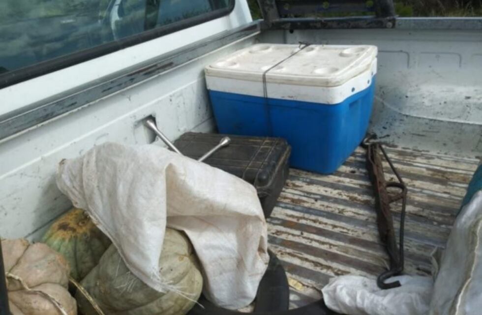 Los detuvieron con carne que sería robada