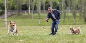 Prócer, el hijo de Dylan perro de Alberto Fernández (@dylanferdezok)