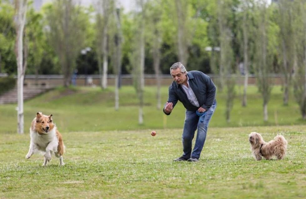 Se agrandó la familia: Alberto Fernández presentó a su nueva mascota, hijo de Dylan