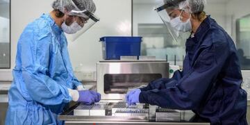 La Anmat aprobó el Neokit Plus (Foto: Conicet)