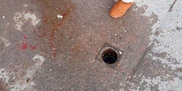 Yegua herida durante el desfile de Güemes\u002E (El Tribuno)