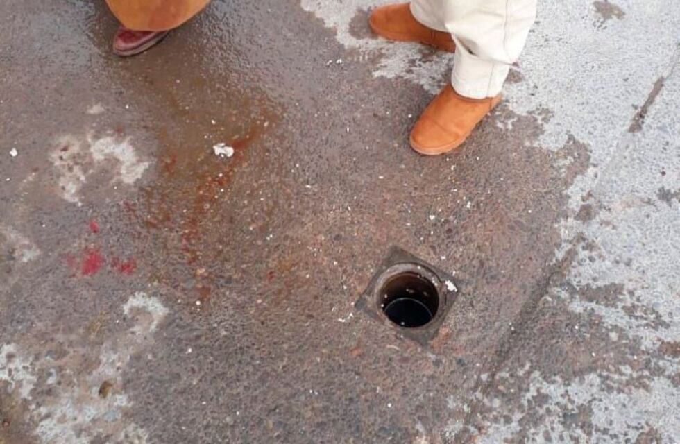 Las calles de Salta, ¿están preparadas para los caballos durante el desfile de Güemes?