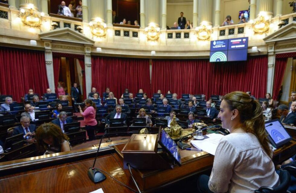 Comienza el debate por la legalización del aborto en las comisiones del Senado